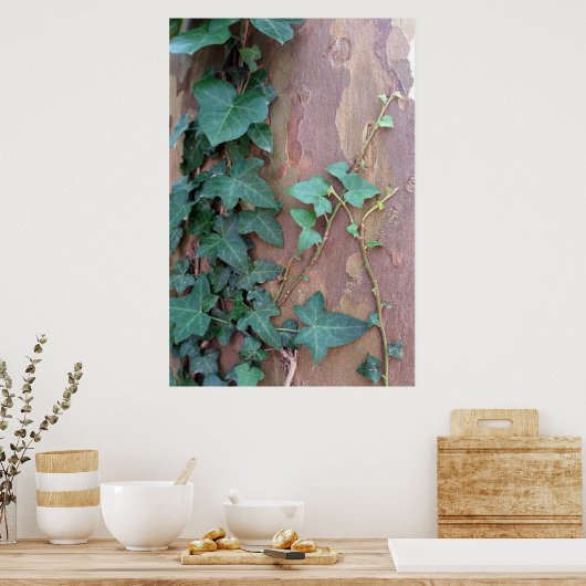 Efeu Poster (Küche)
