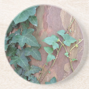 Efeu Sandstein Untersetzer