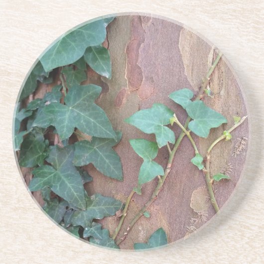 Efeu Sandstein Untersetzer (Vorne)