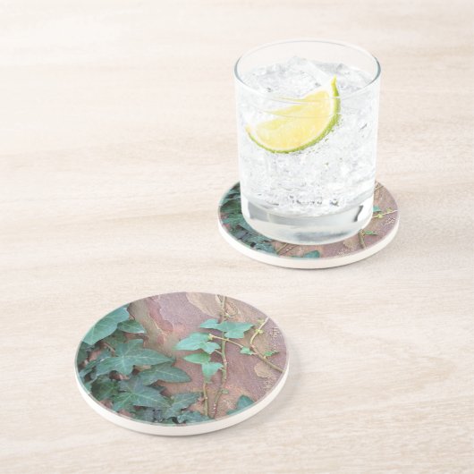 Efeu Sandstein Untersetzer (Seite)