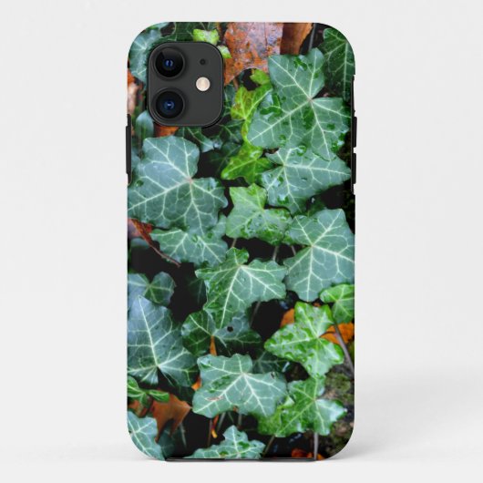 Efeu und Feldstein Case-Mate iPhone Hülle (Rückseite)