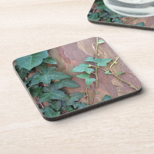 Efeu Untersetzer (Linke Seite)