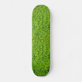 Efeu-Wand-Hintergrund Skateboard