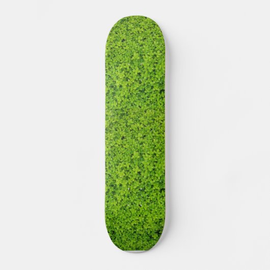 Efeu-Wand-Hintergrund Skateboard (Vorderseite)