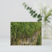 Efeuumauer Postkarte (Stehend Vorderseite)