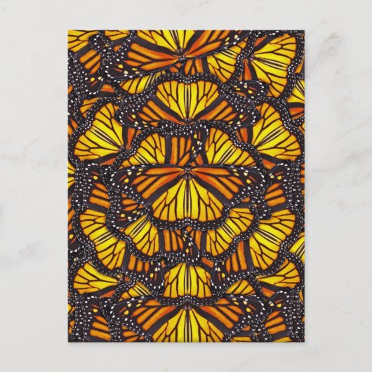 Effies Schmetterlinge Postkarte (Vorderseite)