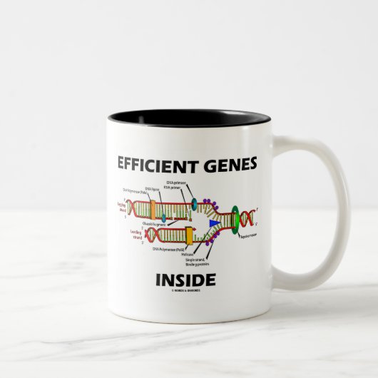Effiziente Gene innerhalb (DNA-Replikation) Zweifarbige Tasse (Rechts)