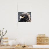 EGAL POSTER (Küche)