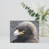 EGAL POSTKARTE (Stehend Vorderseite)