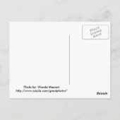 Egal wie schnell Sie gehen, kommen Sie nie dorthin Postkarte (Rückseite)