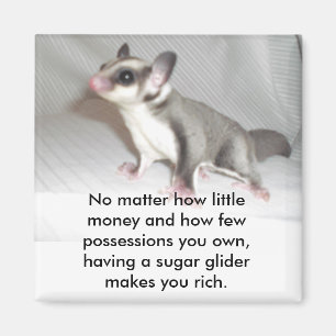 Egal wie wenig Geld und wie F.E.… Magnet