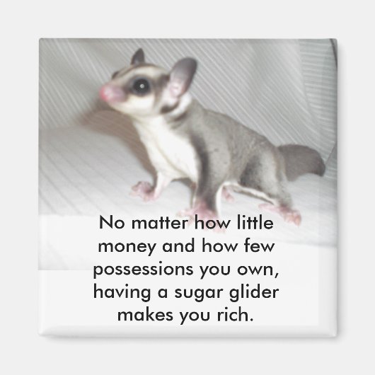 Egal wie wenig Geld und wie teuer ... Magnet (Vorne)