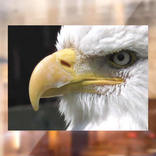 EGELGEBURT FENSTERAUFKLEBER (Blatt 2)