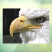 EGELGEBURT FENSTERAUFKLEBER (Blatt 3)