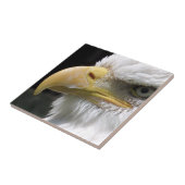 EGELGEBURT FLIESE (Seite)