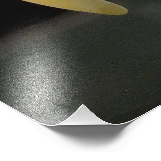 EGELGEBURT FOTODRUCK (Ecke)