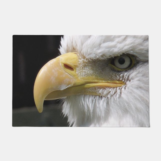 EGELGEBURT FUßMATTE (Vorderseite)