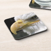 EGELGEBURT GETRÄNKEUNTERSETZER (Linke Seite)