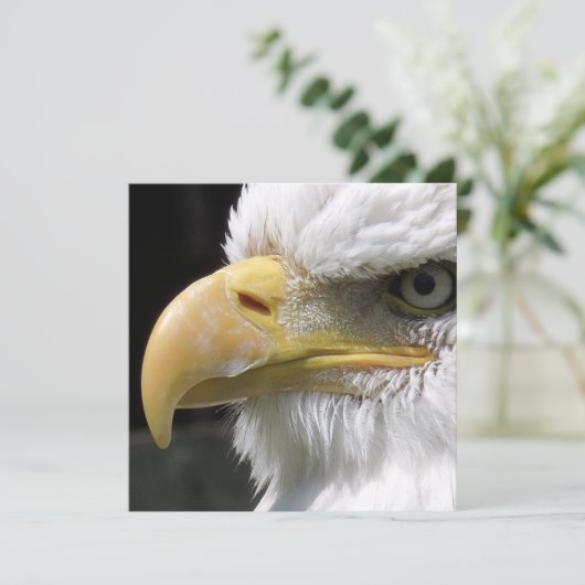 EGELGEBURT KARTE (Stehend Vorderseite)