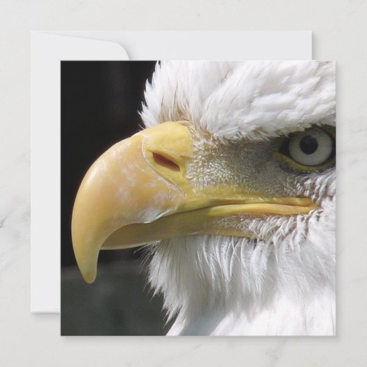 EGELGEBURT KARTE (Vorderseite)