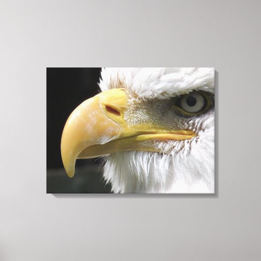 EGELGEBURT LEINWANDDRUCK (Vorderseite)