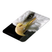 EGELGEBURT MAGNET (Linke Seite)