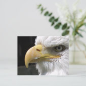 EGELGEBURT POSTKARTE (Stehend Vorderseite)