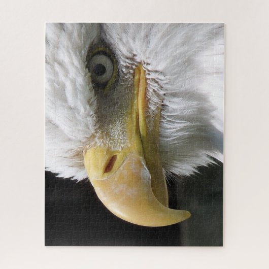 EGELGEBURT PUZZLE (Vertikal)