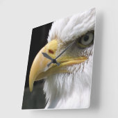 EGELGEBURT QUADRATISCHE WANDUHR (Winkel)