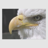 EGELGEBURT SEIDENPAPIER (Vorderseite)