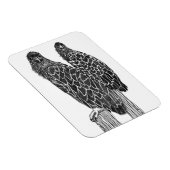 EGELSCHLINGE FUN LOUNGING + FISCHEN AN DER STELLE MAGNET (Rechte Seite)