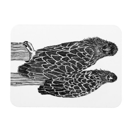 EGELSCHLINGE FUN LOUNGING + FISCHEN AN DER STELLE MAGNET (Horizontal)