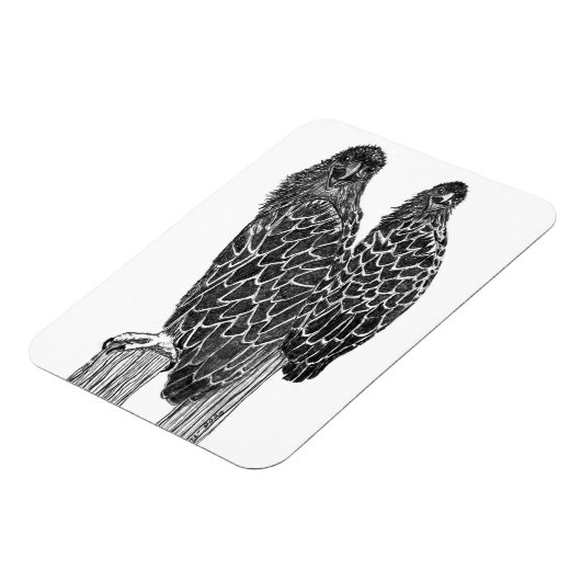 EGELSCHLINGE FUN LOUNGING + FISCHEN AN DER STELLE MAGNET (Linke Seite)