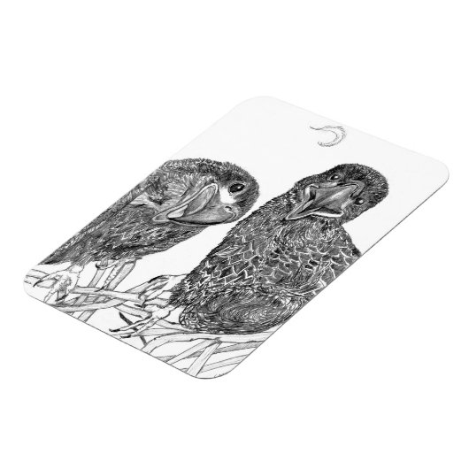 EGELSCHNITTSTELLE MIT SPASS + FEATHER-FREUNDFÜHRER MAGNET (Linke Seite)