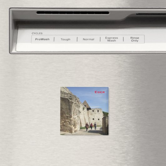 Eger Magnet (In Situ (Geschirrspüler))