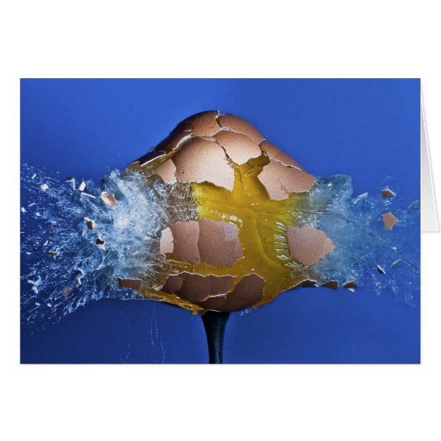 Eggceptional (Vorderseite (Horizontal))