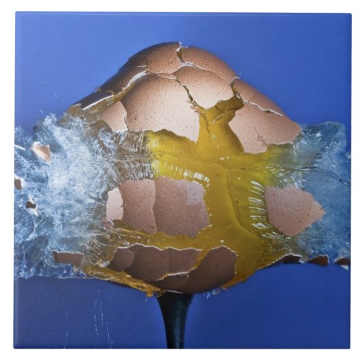 Eggceptional Fliese (Vorderseite)