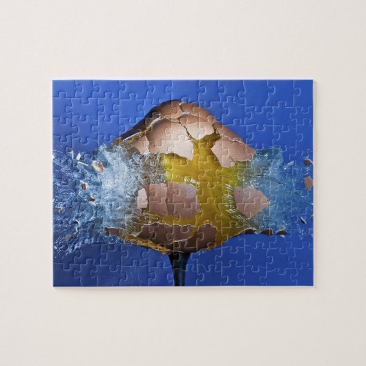 Eggceptional Puzzle (Horizontal)