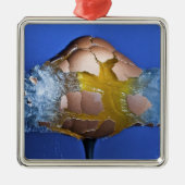 Eggceptional Silbernes Ornament (Vorne)