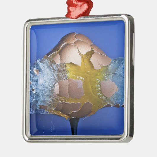 Eggceptional Silbernes Ornament (Links)