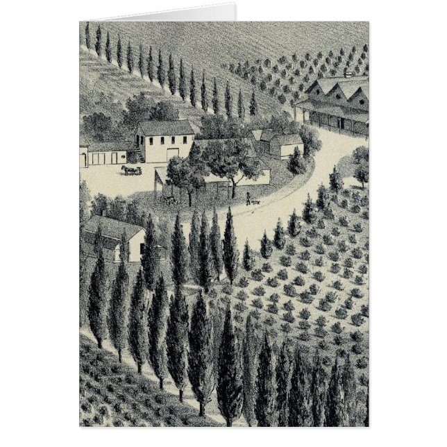 Eggers Vineyard, Fresno (Vorne)