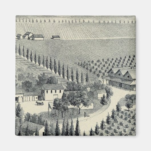 Eggers Vineyard, Fresno Magnet (Vorne)