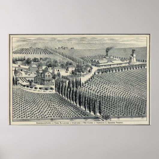 Eggers Vineyard, Fresno Poster (Vorne)