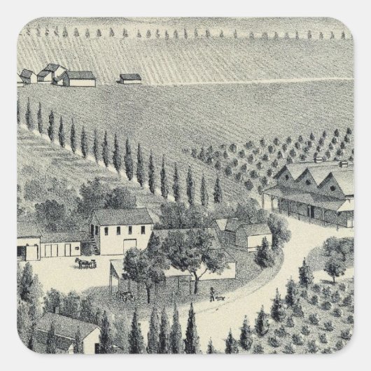 Eggers Vineyard, Fresno Quadratischer Aufkleber (Vorderseite)