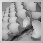 eggies Poster (Vorne)