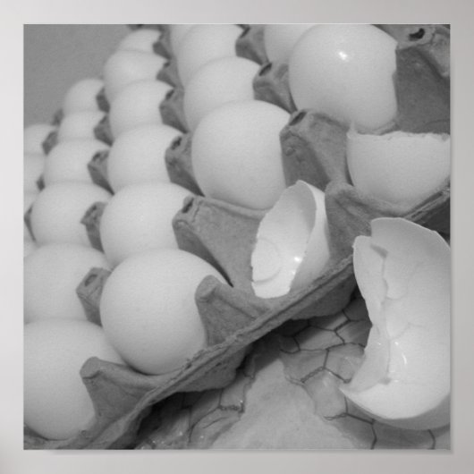 eggies Poster (Vorne)