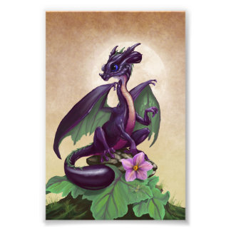 Eggplant Dragon 4x6 Print Fotodruck