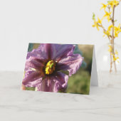 Eggplant Flower Karte (Gelbe Blume)
