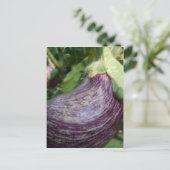 Eggplant Veggie Postkarte (Stehend Vorderseite)