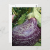 Eggplant Veggie Postkarte (Vorne/Hinten)